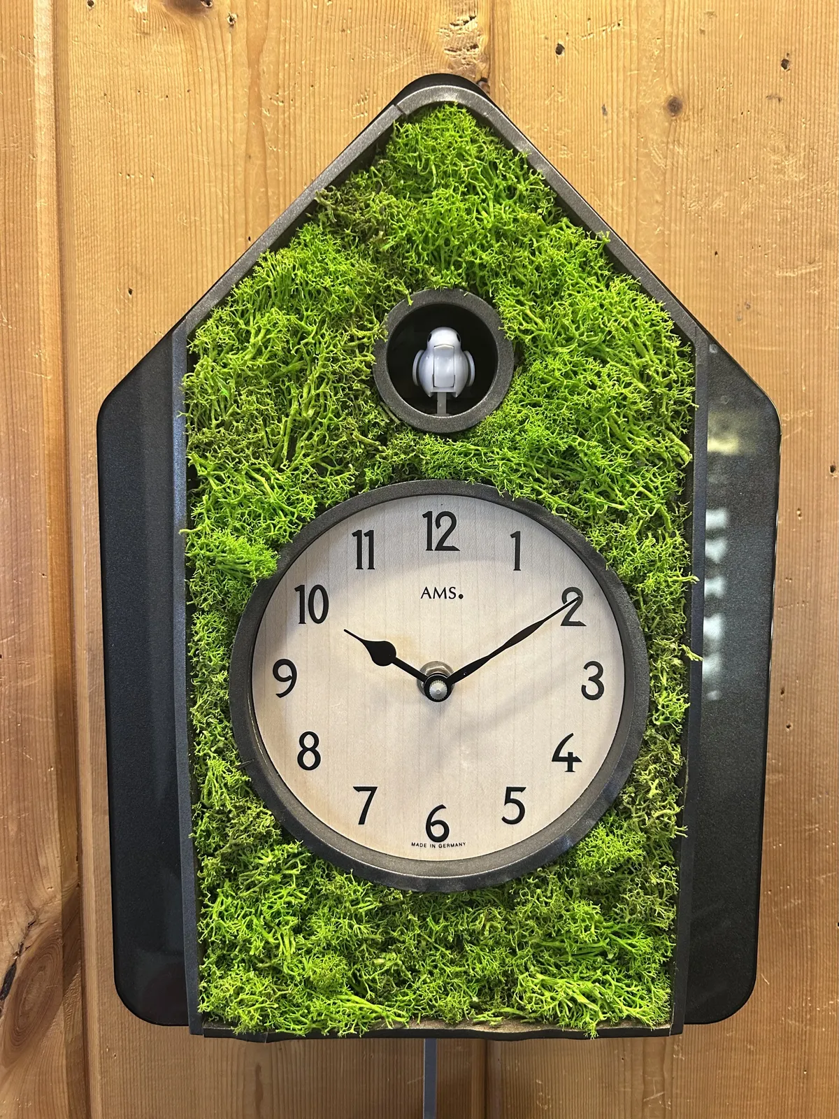 Green Moss Modern Battery Cuckoo Clock 34cm By AMS (Warped and Spilt Wood) image