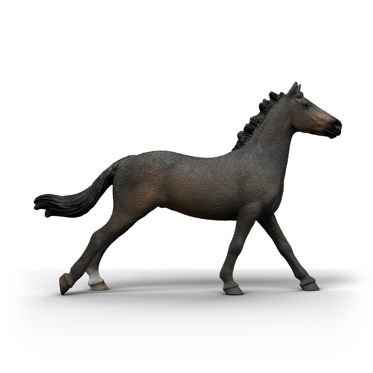 English Thoroughbred Mare image