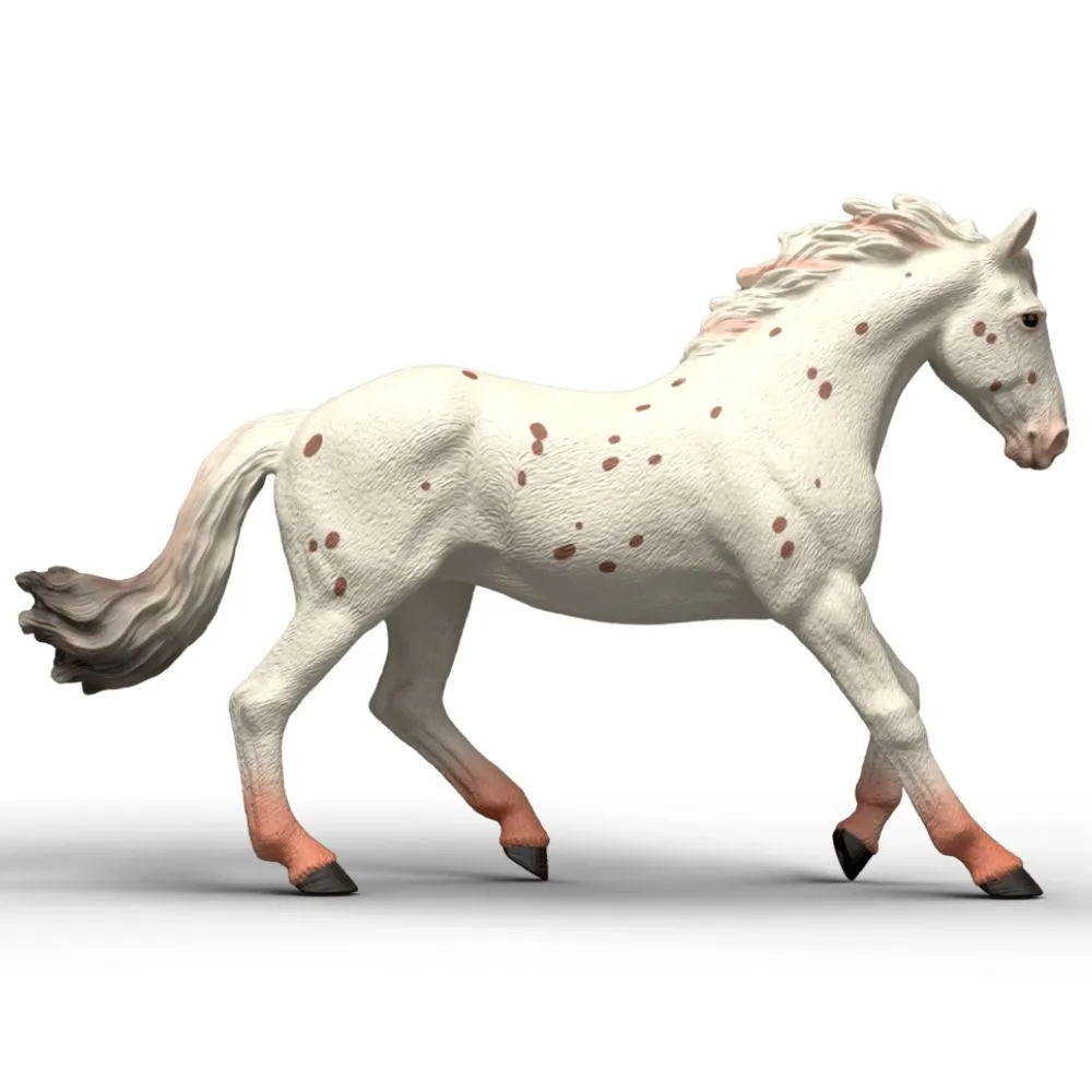 Knabstrupper Mare image