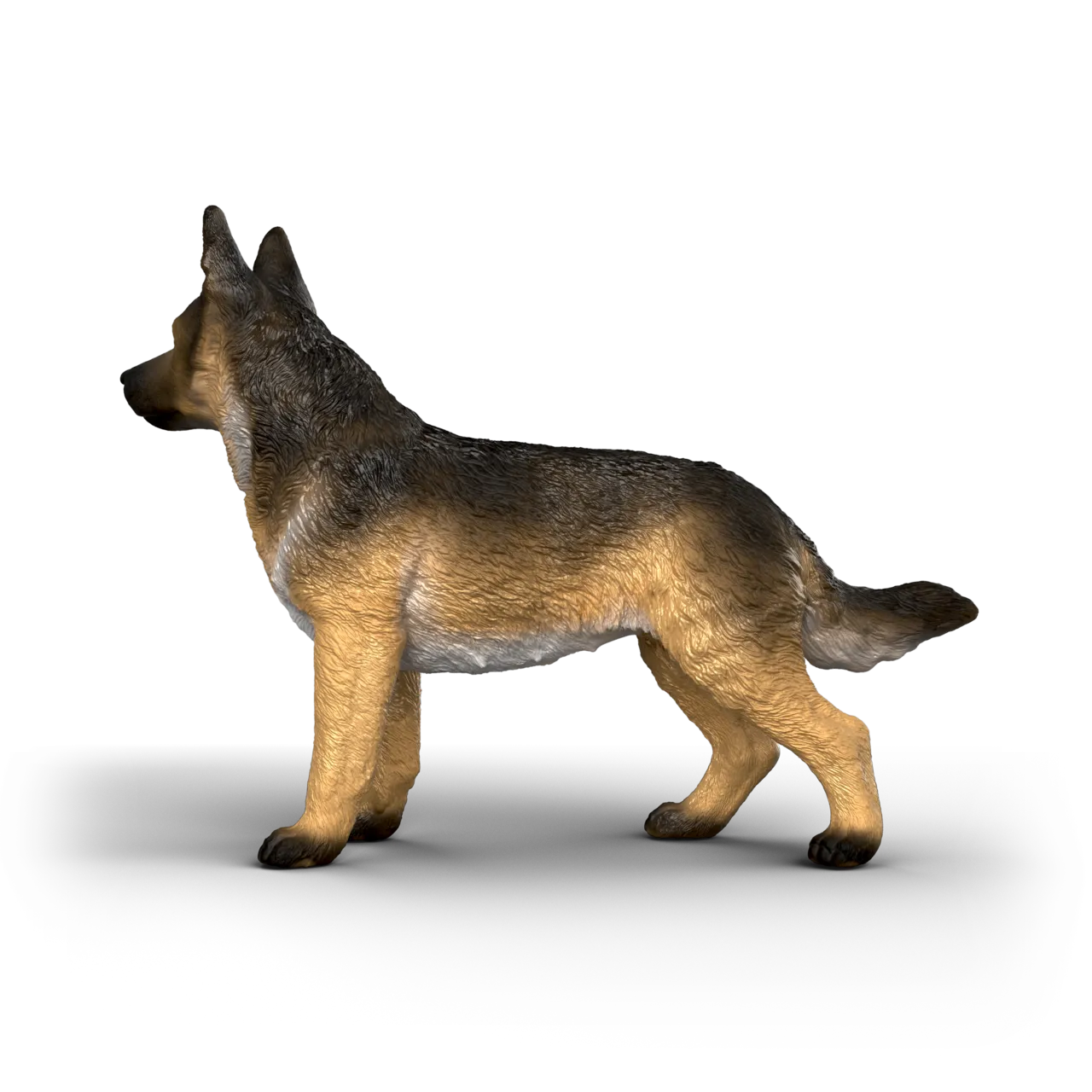 German Shepherd Female image