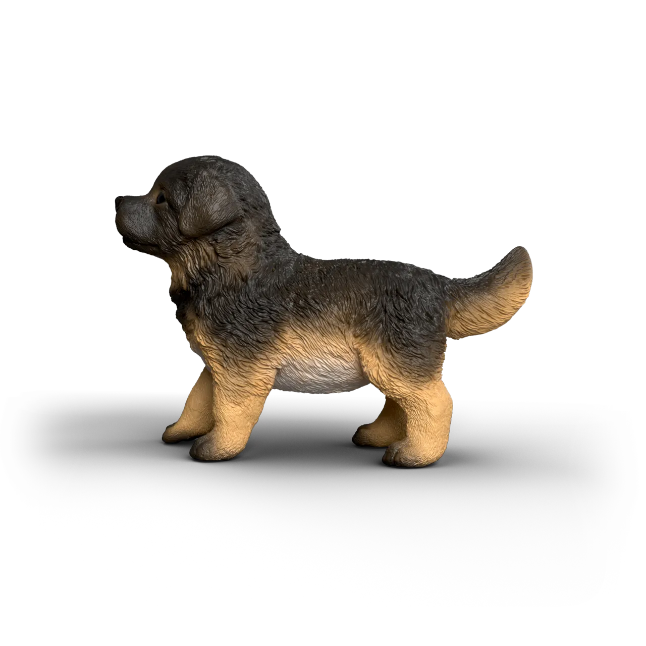 German Shepherd Puppy image