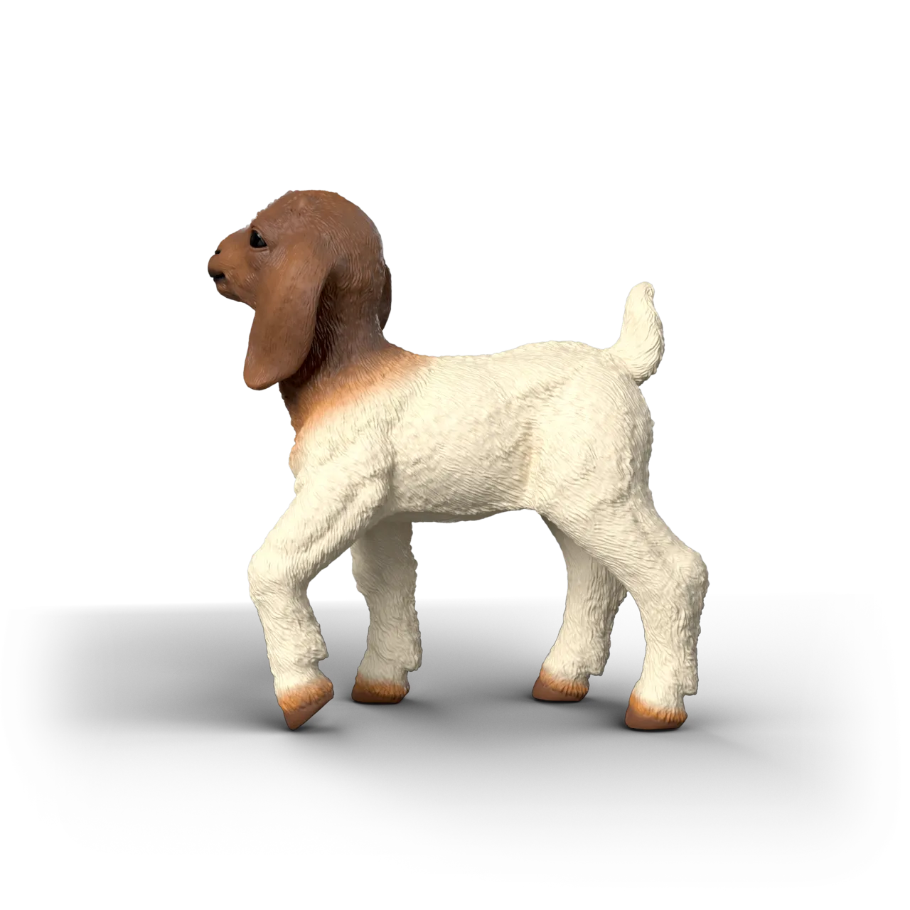 Boer Goat Kid image