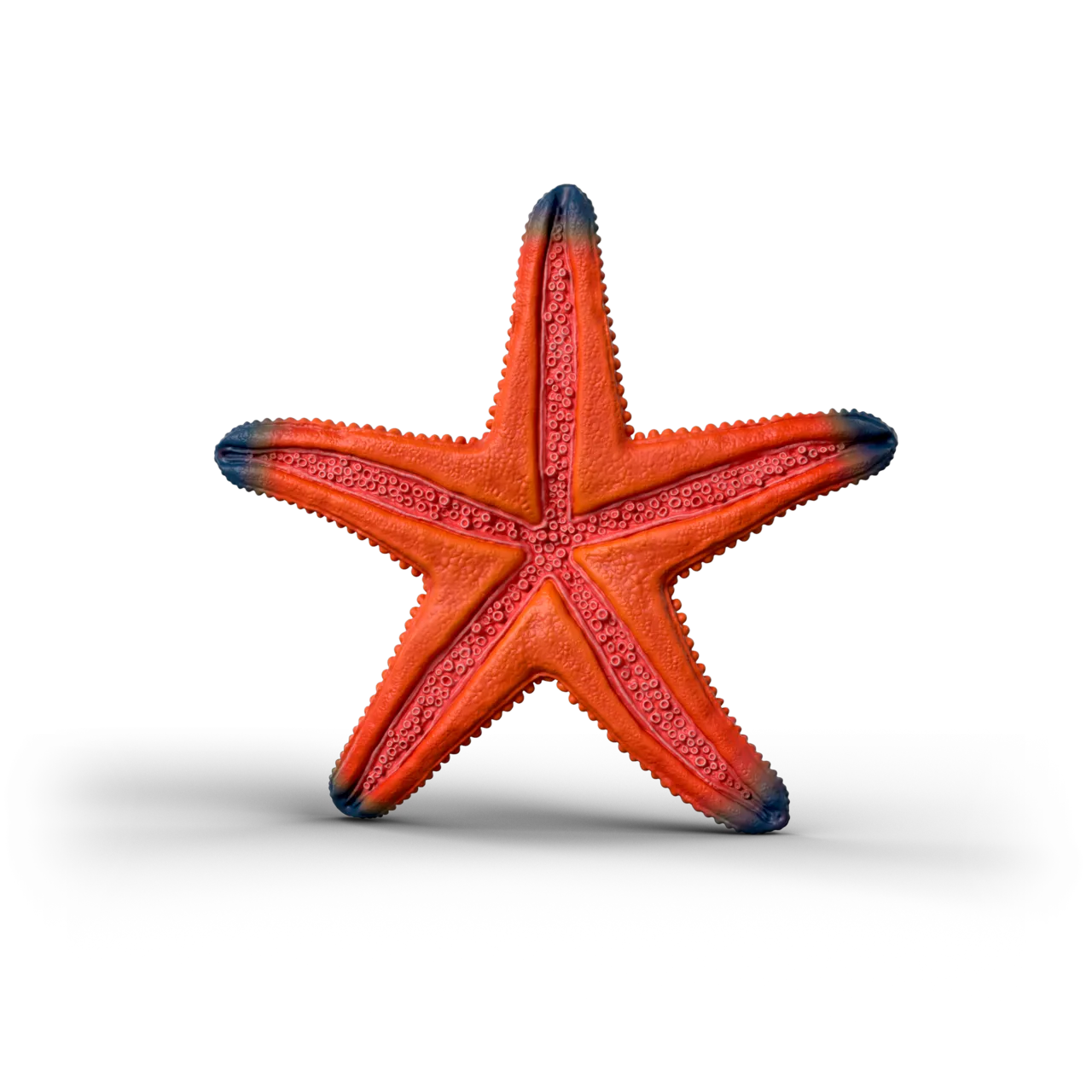 Colour Changing Starfish image