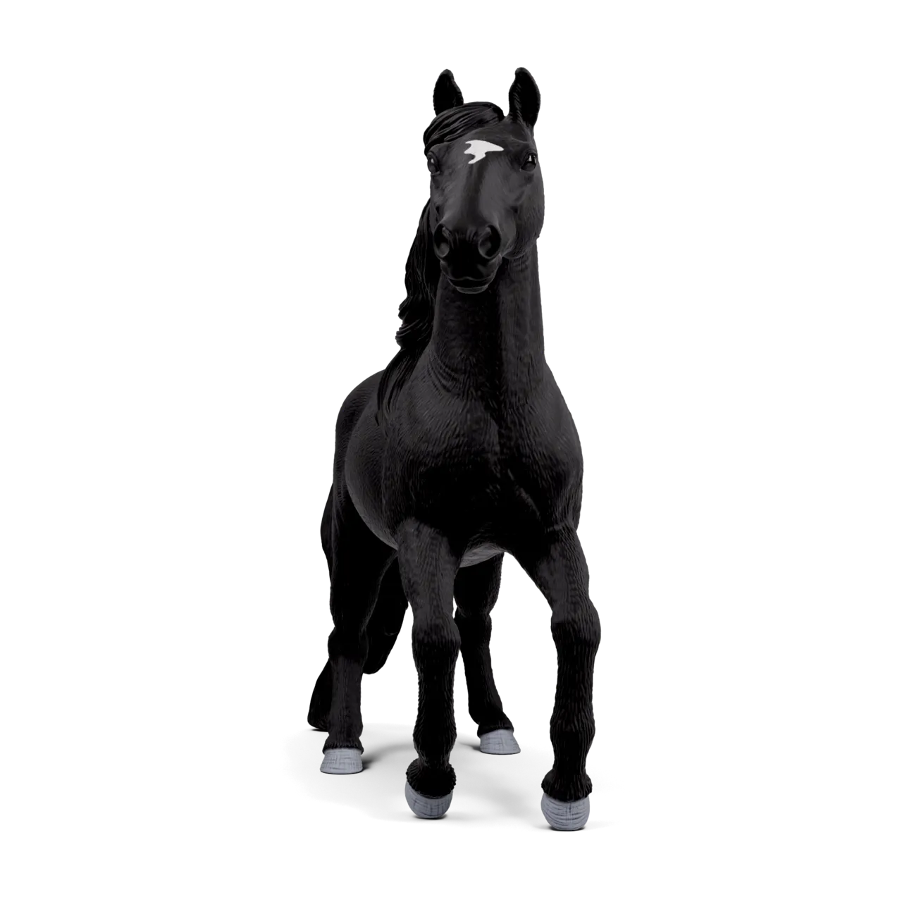 Lusitano Stallion image