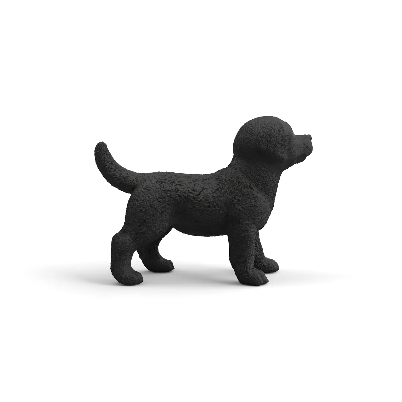 Black Labrador Retriever Puppy image