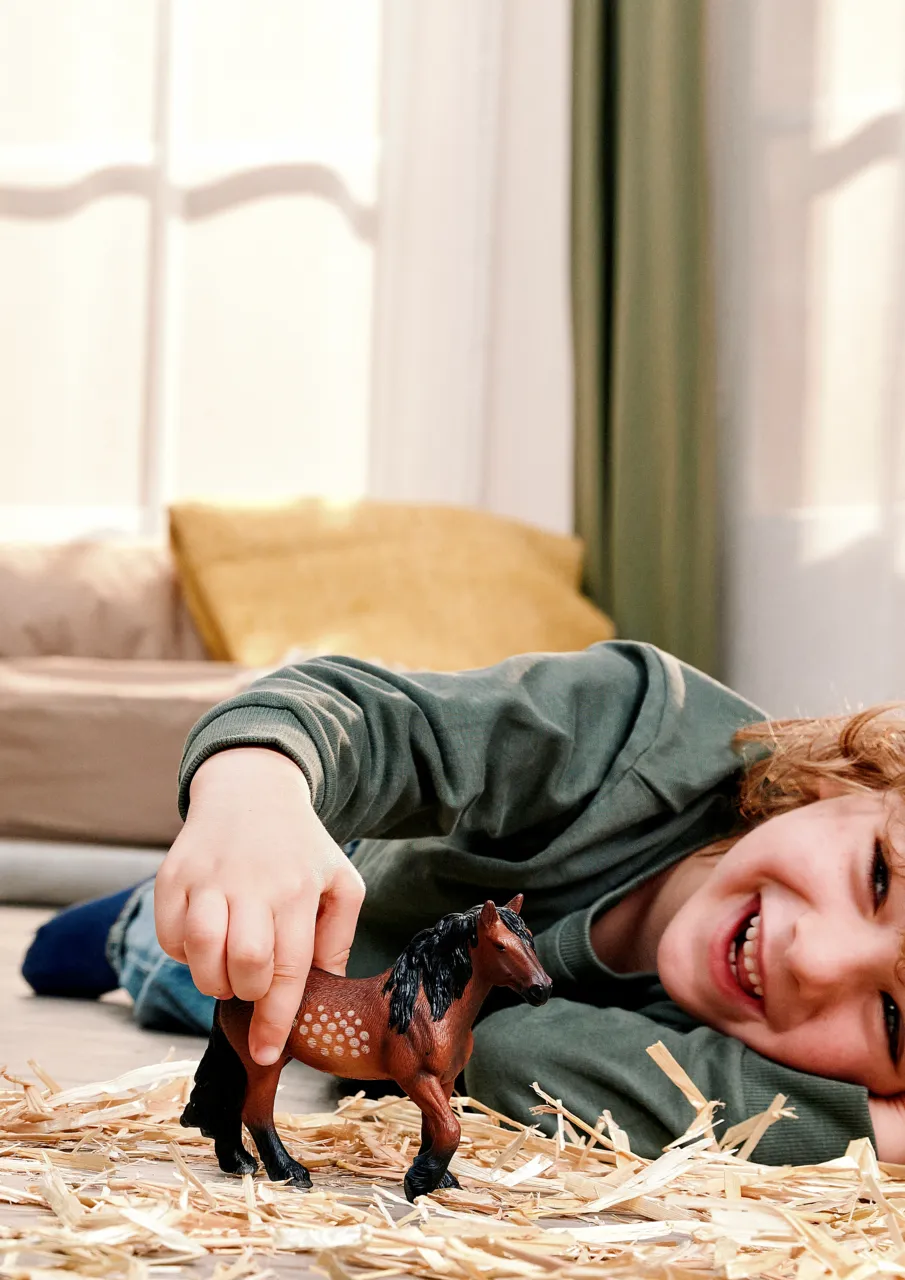 North Swedish Cold Blooded Mare image