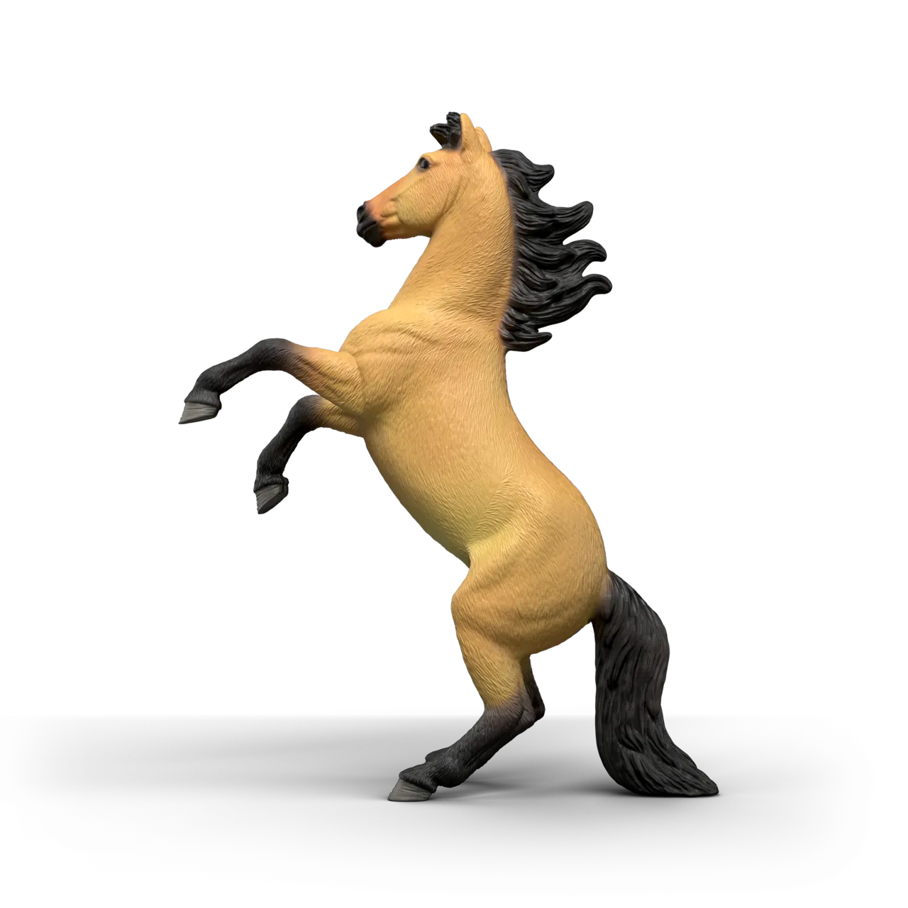 Mustang Stallion image