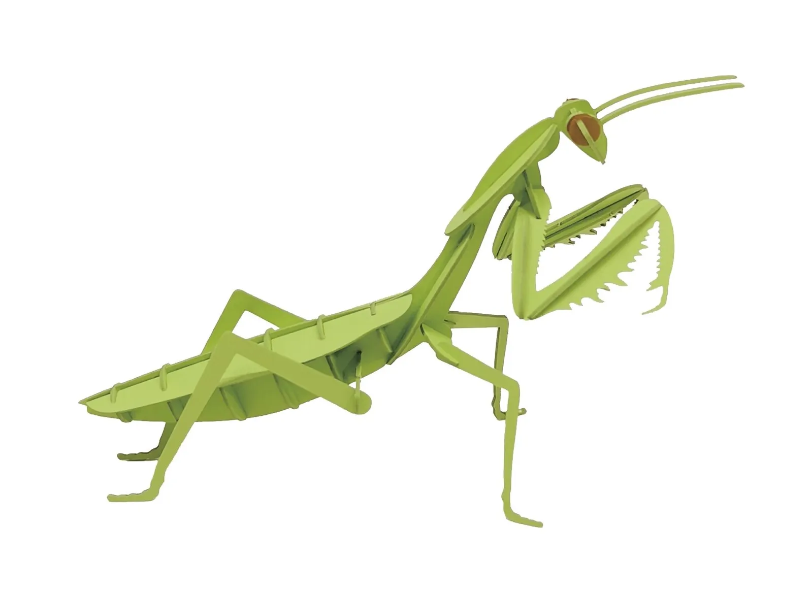 3D Paper Model- Praying Mantis image