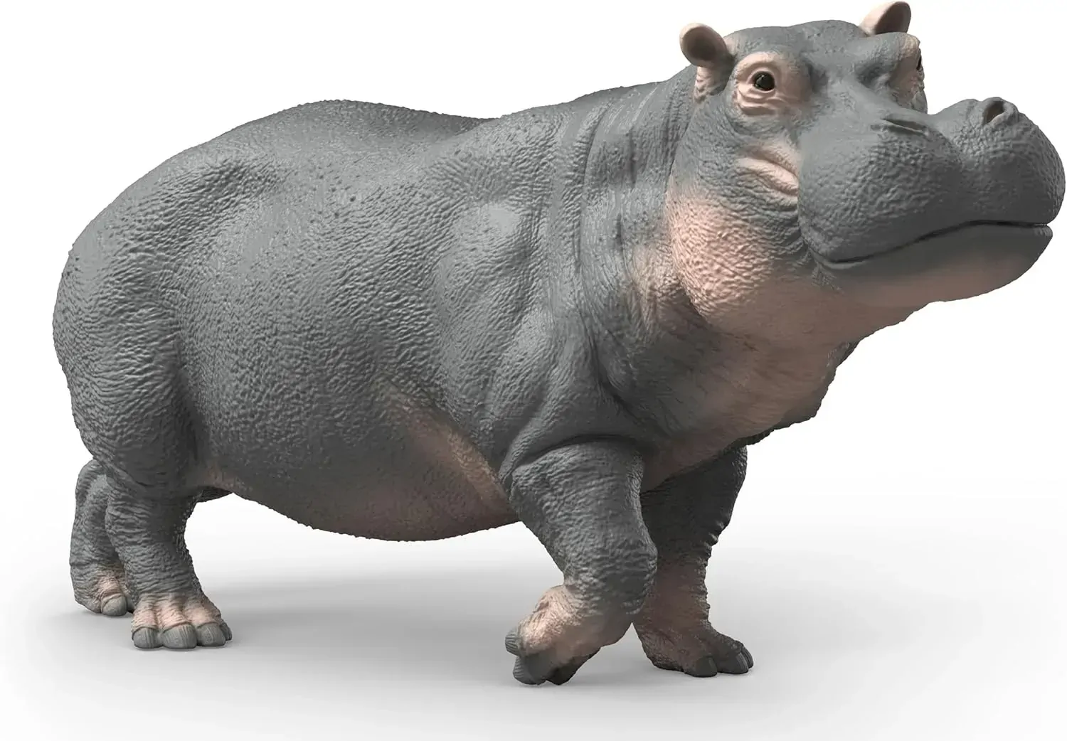 Hippopotamus image