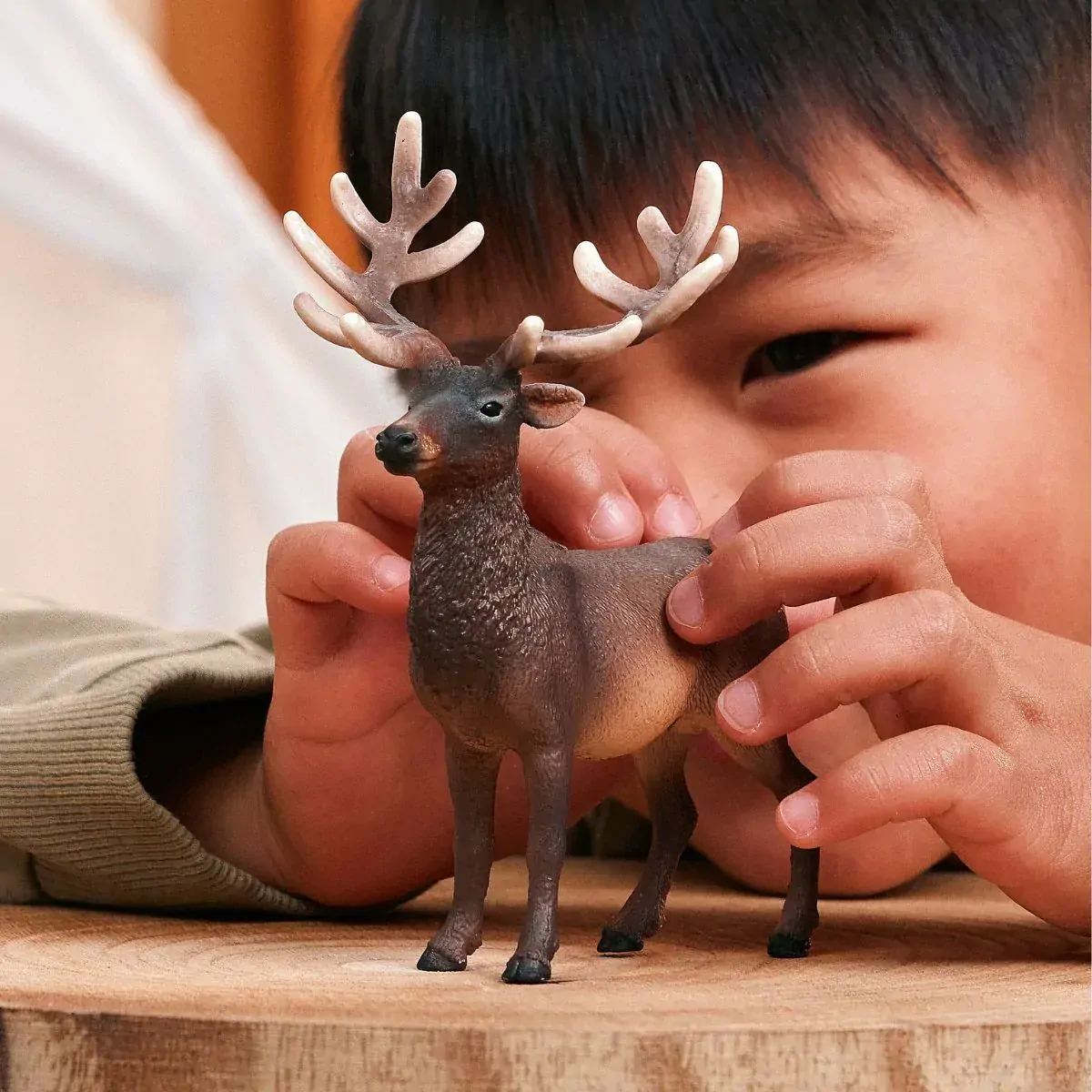 Elk image