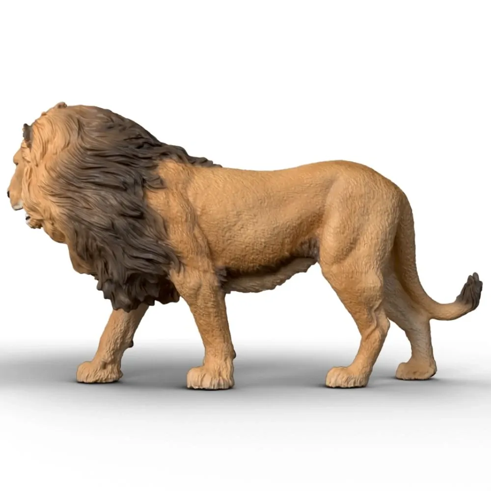 Lion image
