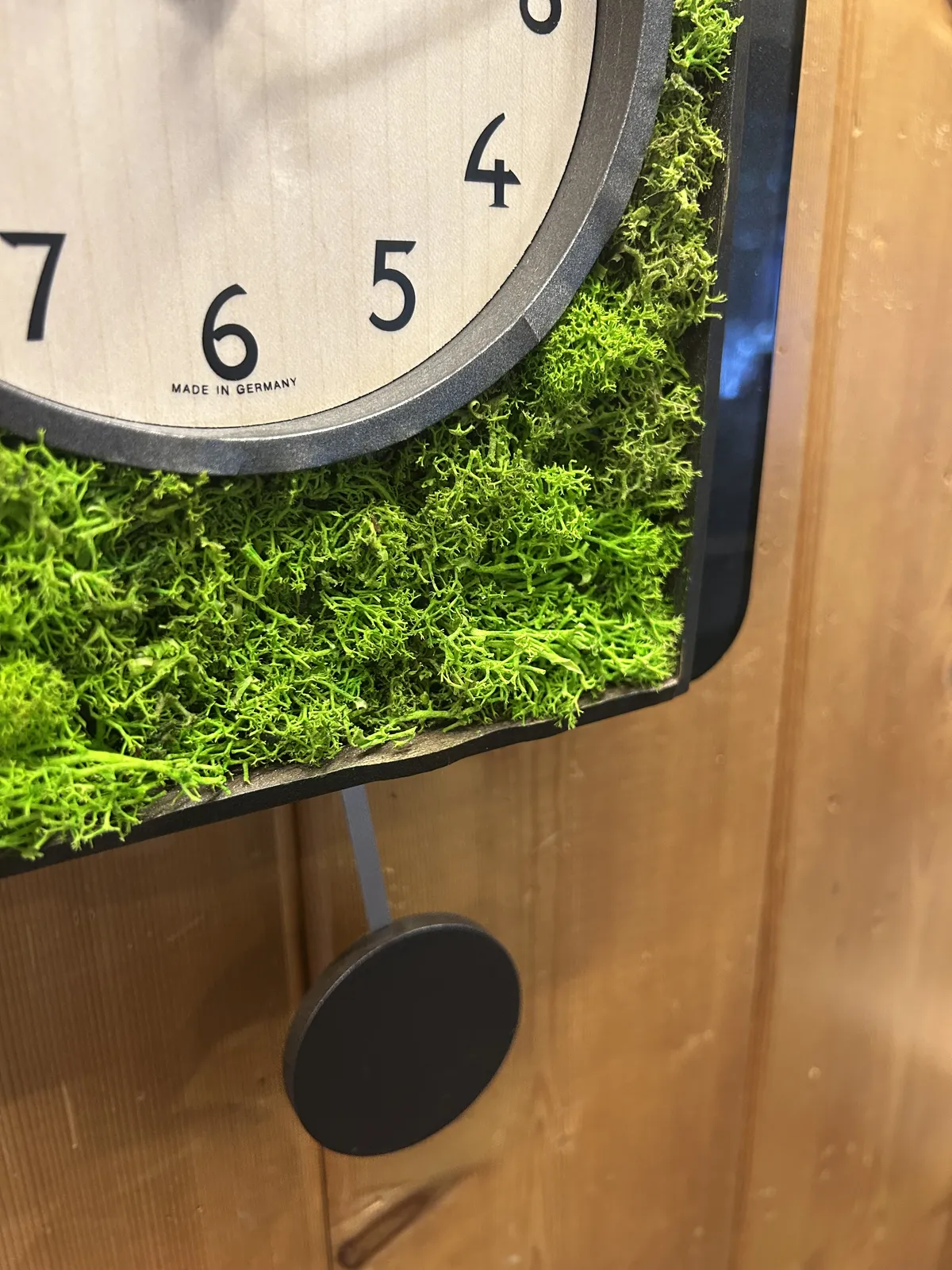 Green Moss Modern Battery Cuckoo Clock 34cm By AMS (Warped and Spilt Wood) image