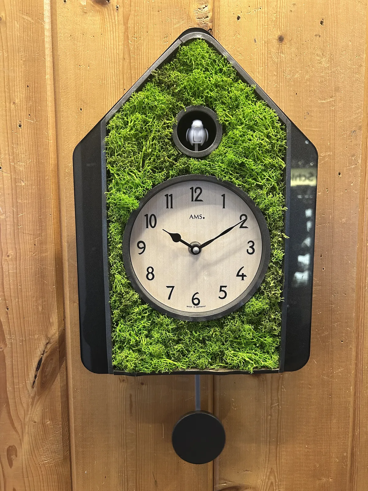 Green Moss Modern Battery Cuckoo Clock 34cm By AMS (Warped and Spilt Wood) image