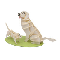 3D Paper Model- Golden Retriever image