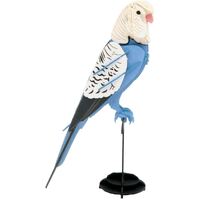 3D Paper Model- Budgie image