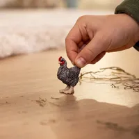 Plymouth Rock Chicken - 2025 image
