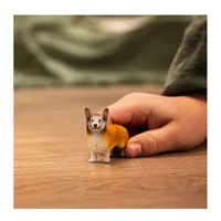 Welsh Corgi - 2025 image