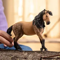 Andalusian Mare- 2025 image