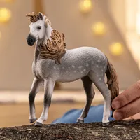 Andalusian Stallion- 2025 image