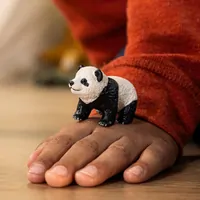 Giant Panda Cub- 2025 image