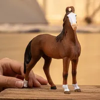 Marwari Mare - 2025 image