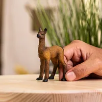 Llama Foal - 2025 image