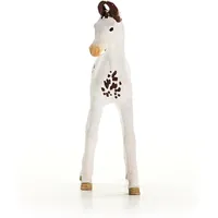 Marwari Foal - 2025 image