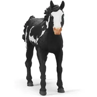 Paint Horse Gelding- 2025 image