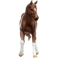 Paint Horse Mare- 2025 image