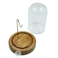 125mm Natural Oak Pocket Watch Glass Dome Display image