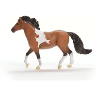 Mangalarga Marchador Stallion image