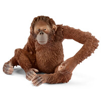 Orangutan (Female) image