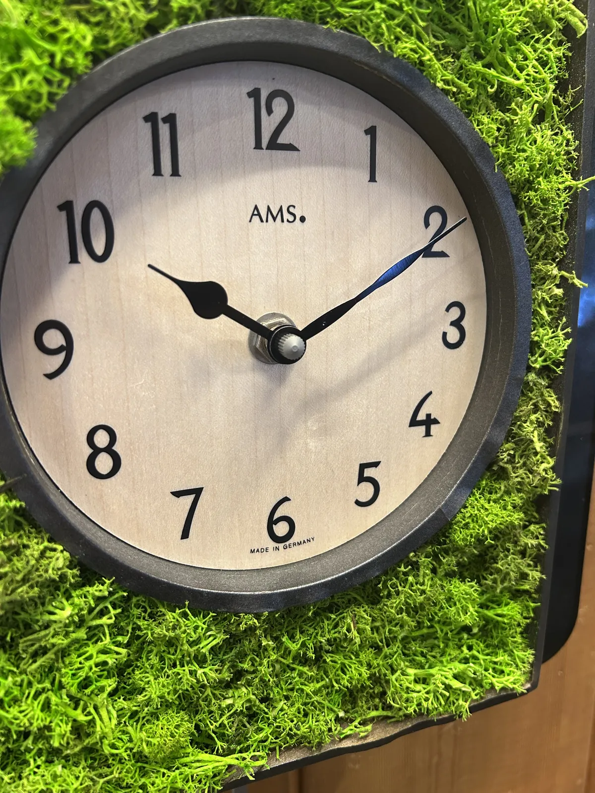 Green Moss Modern Battery Cuckoo Clock 34cm By AMS (Warped and Spilt Wood) image