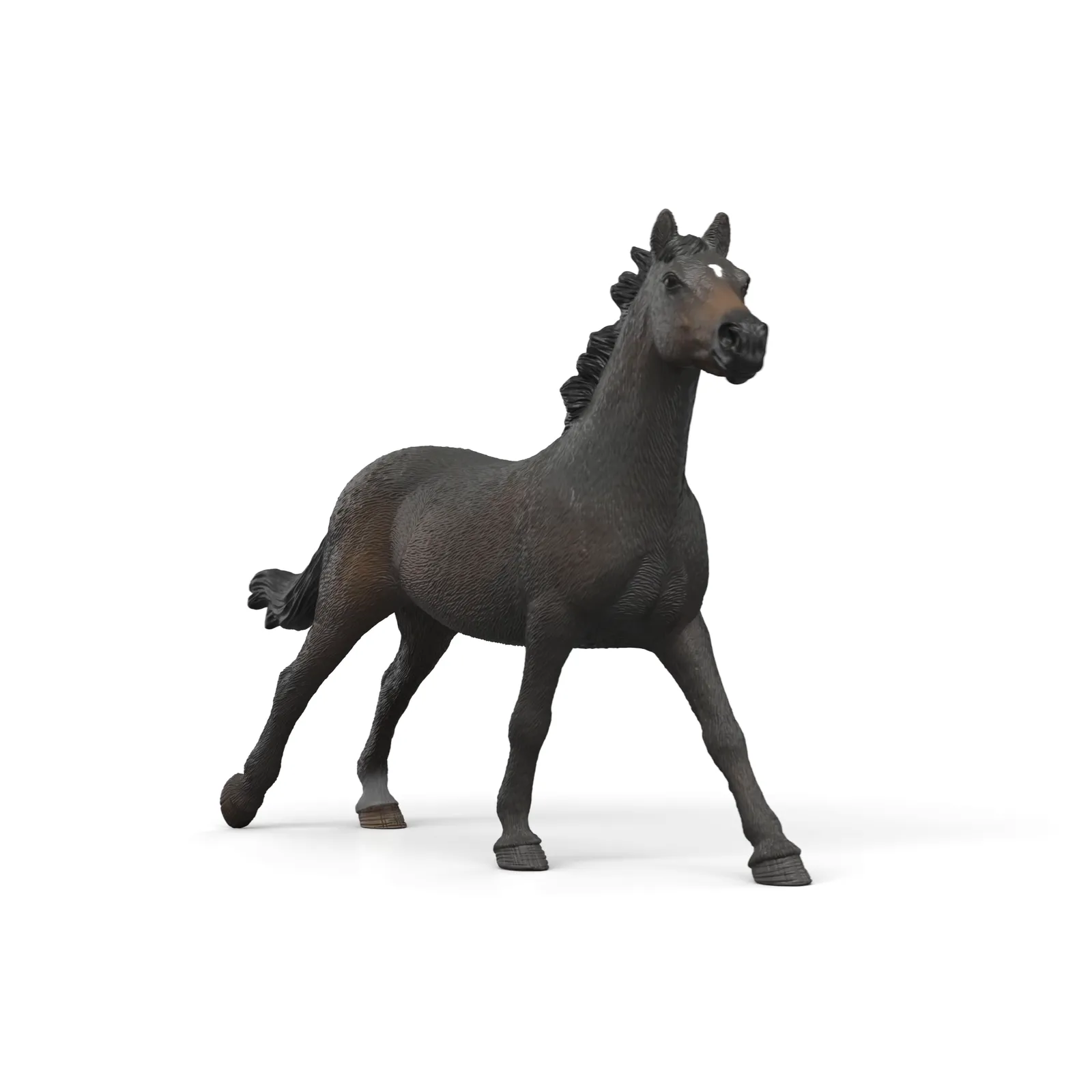 English Thoroughbred Mare image