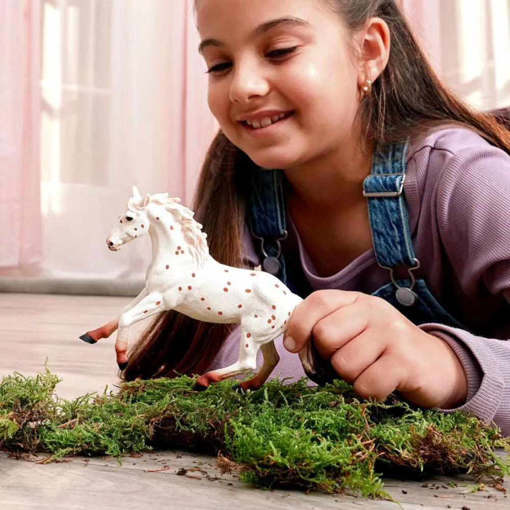 Knabstrupper Mare image