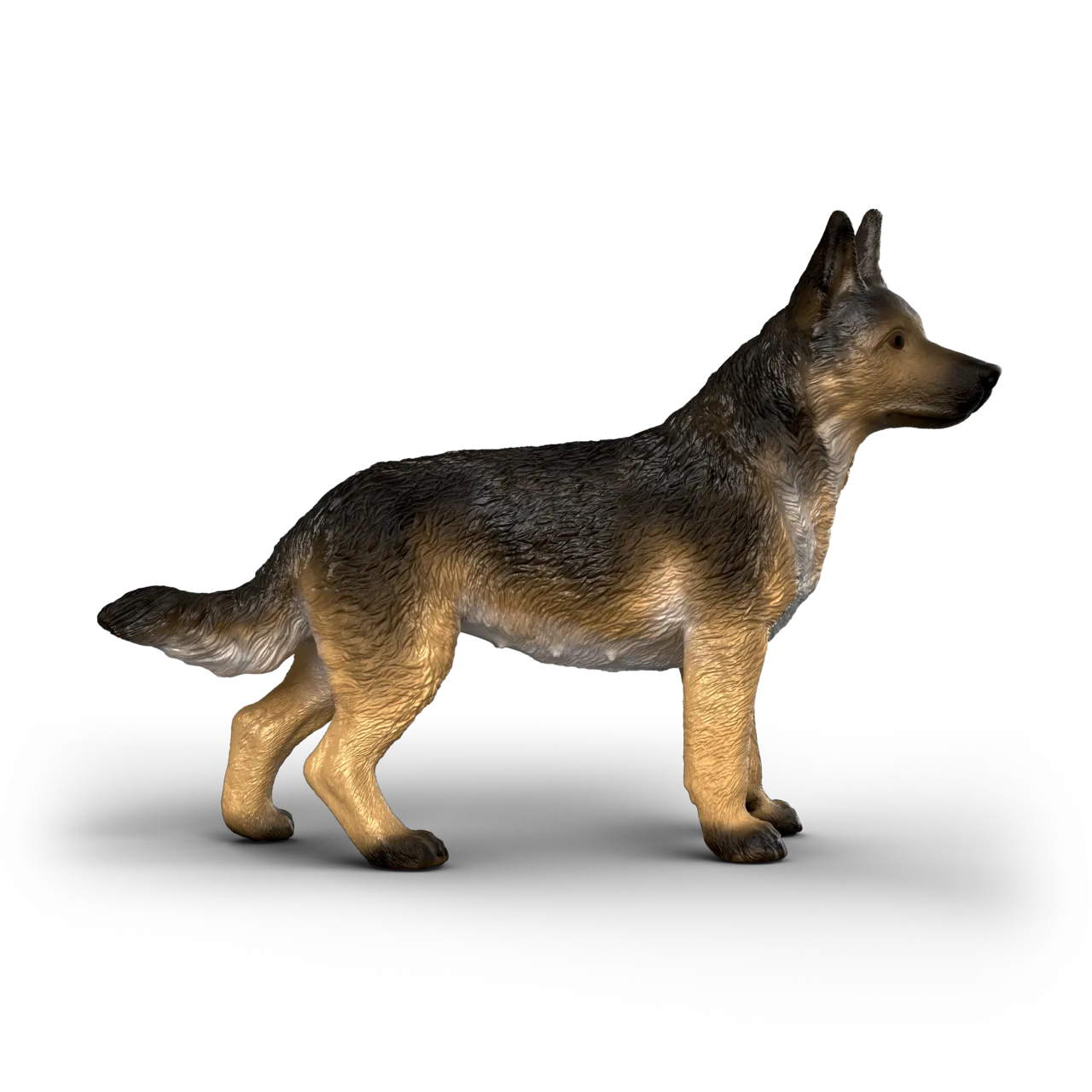 German Shepherd Female image