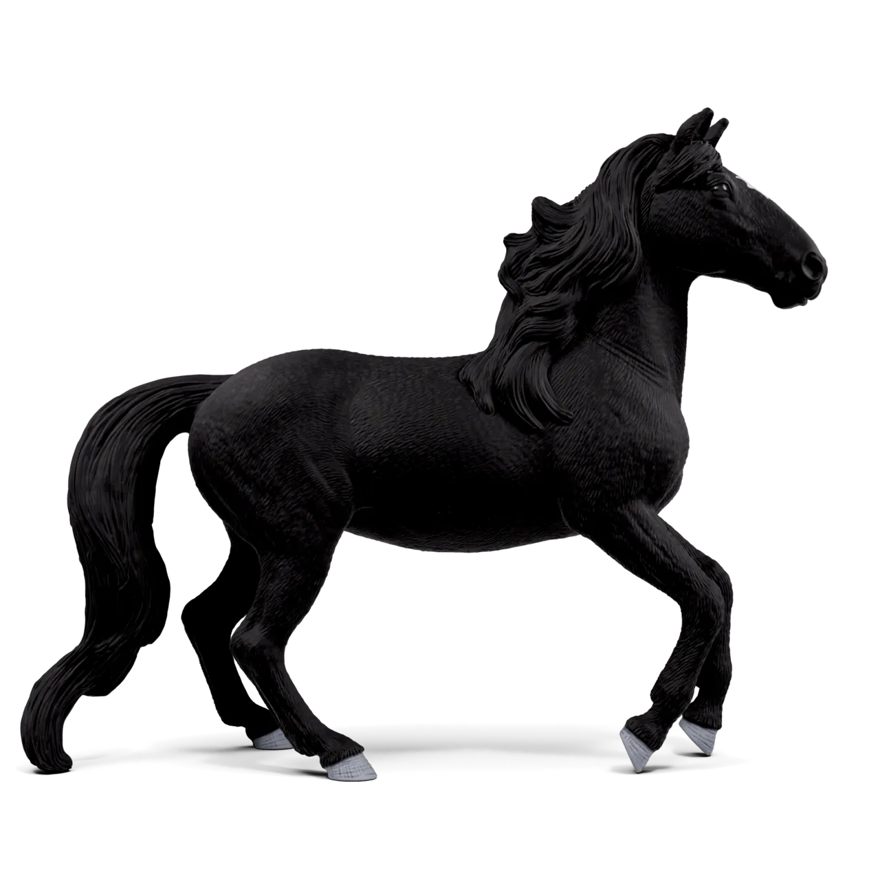 Lusitano Stallion image