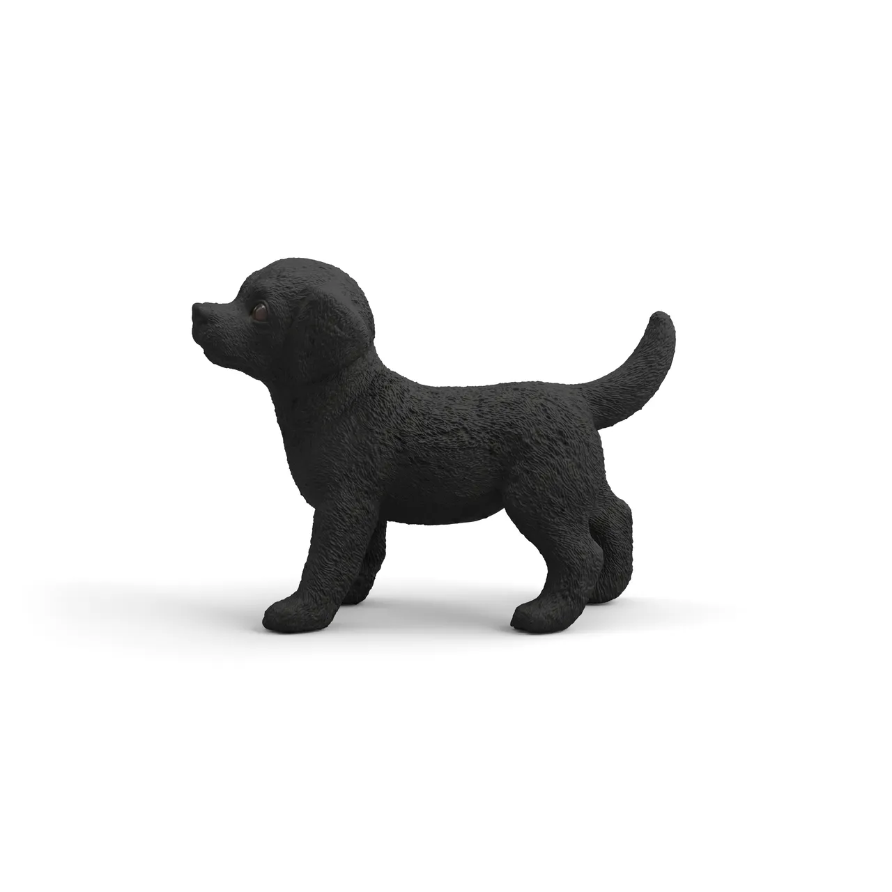 Black Labrador Retriever Puppy image
