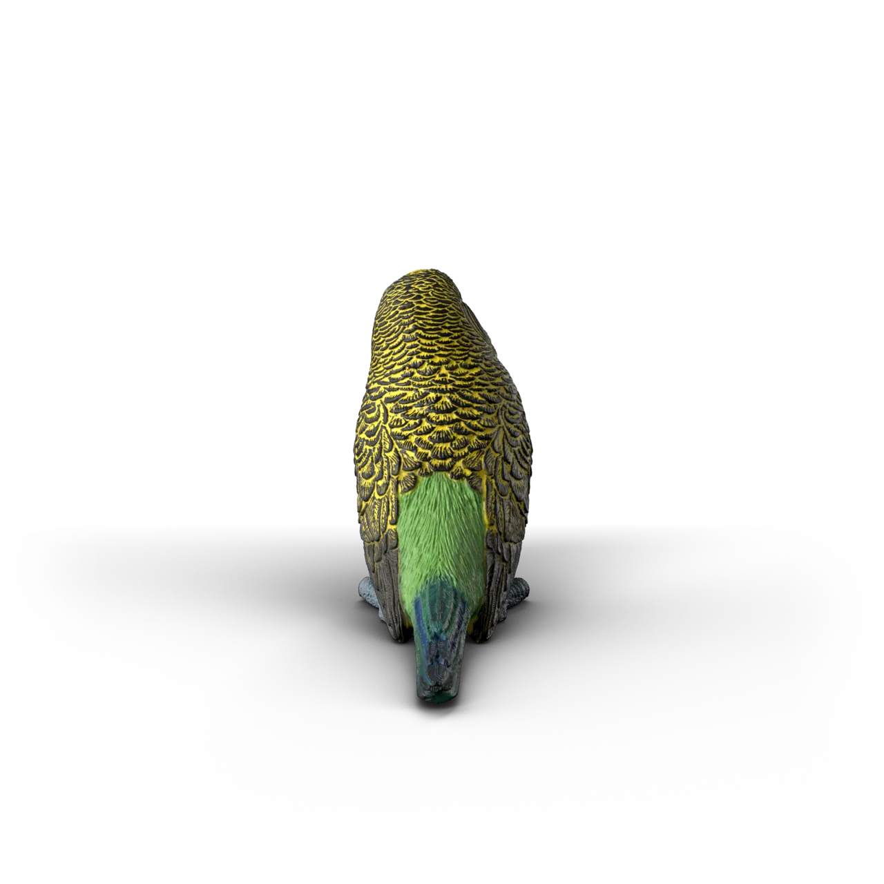 Budgie image