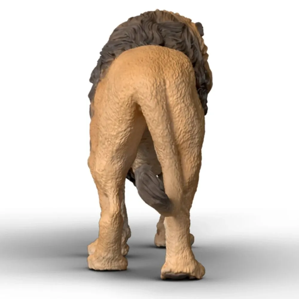 Lion image