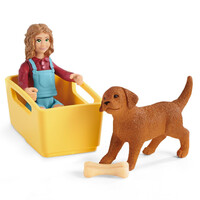 Farm World- Puppy Wagon Ride image