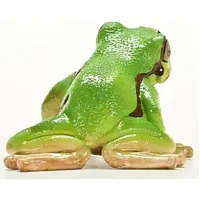 European Tree Frog - 2025 image