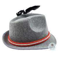 Grey & Red Trilby Party Hat With Feather image
