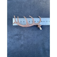 Antlers For Cuckoo Clock Plastic 100mm image
