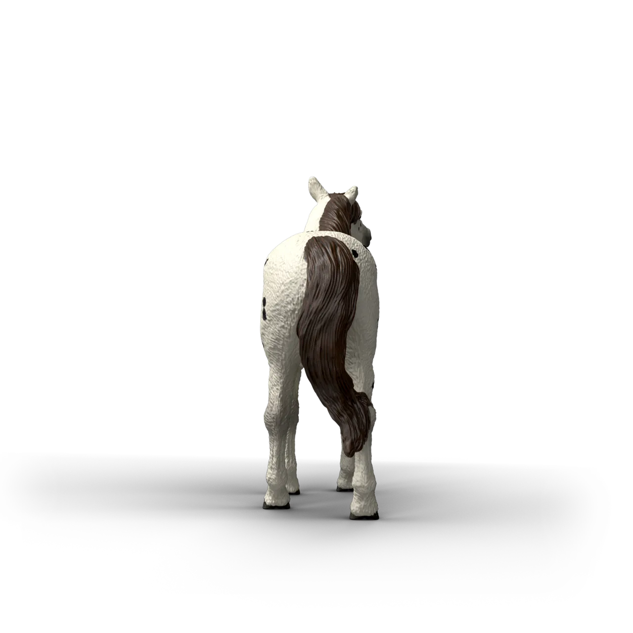 Knabstrupper Gelding image