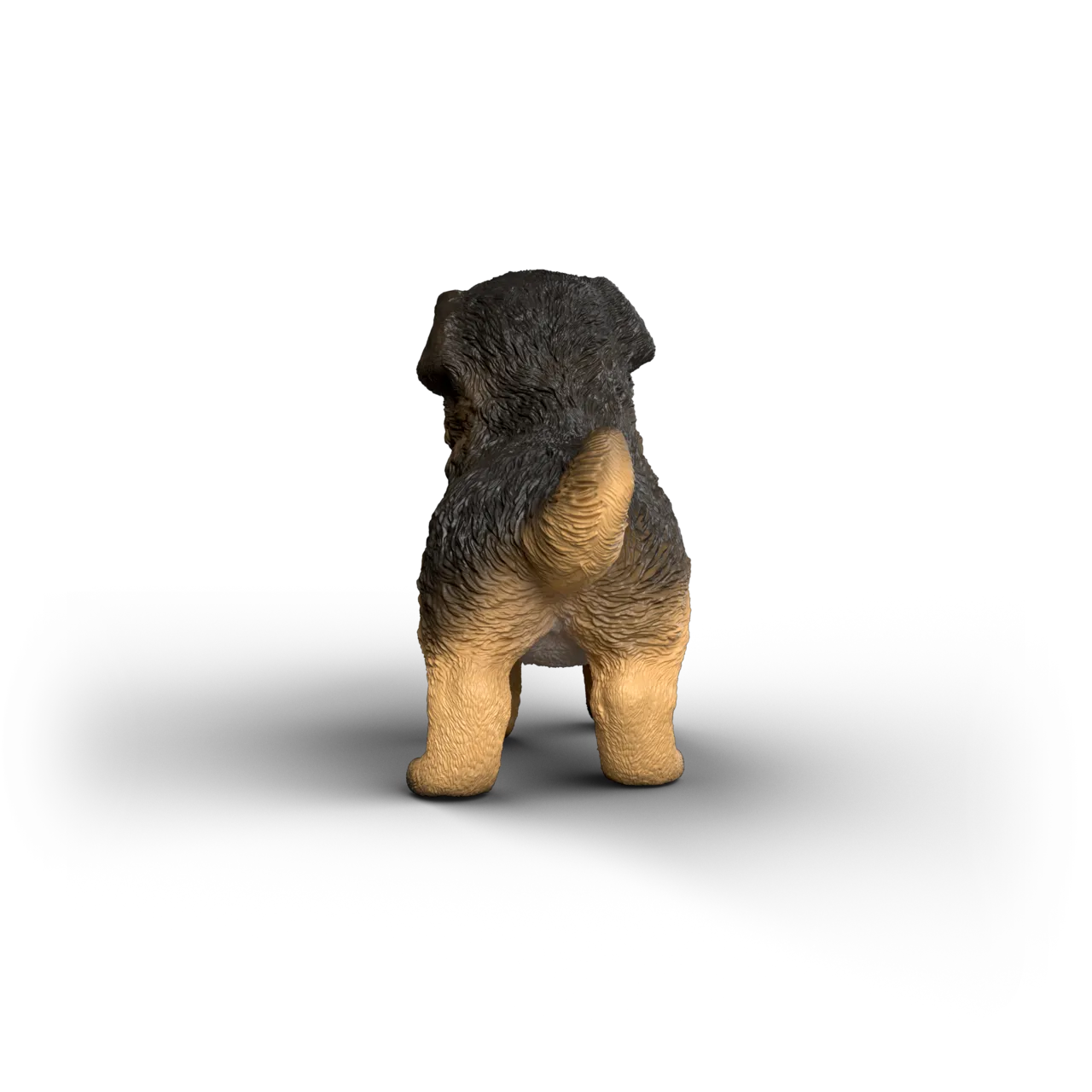 German Shepherd Puppy image