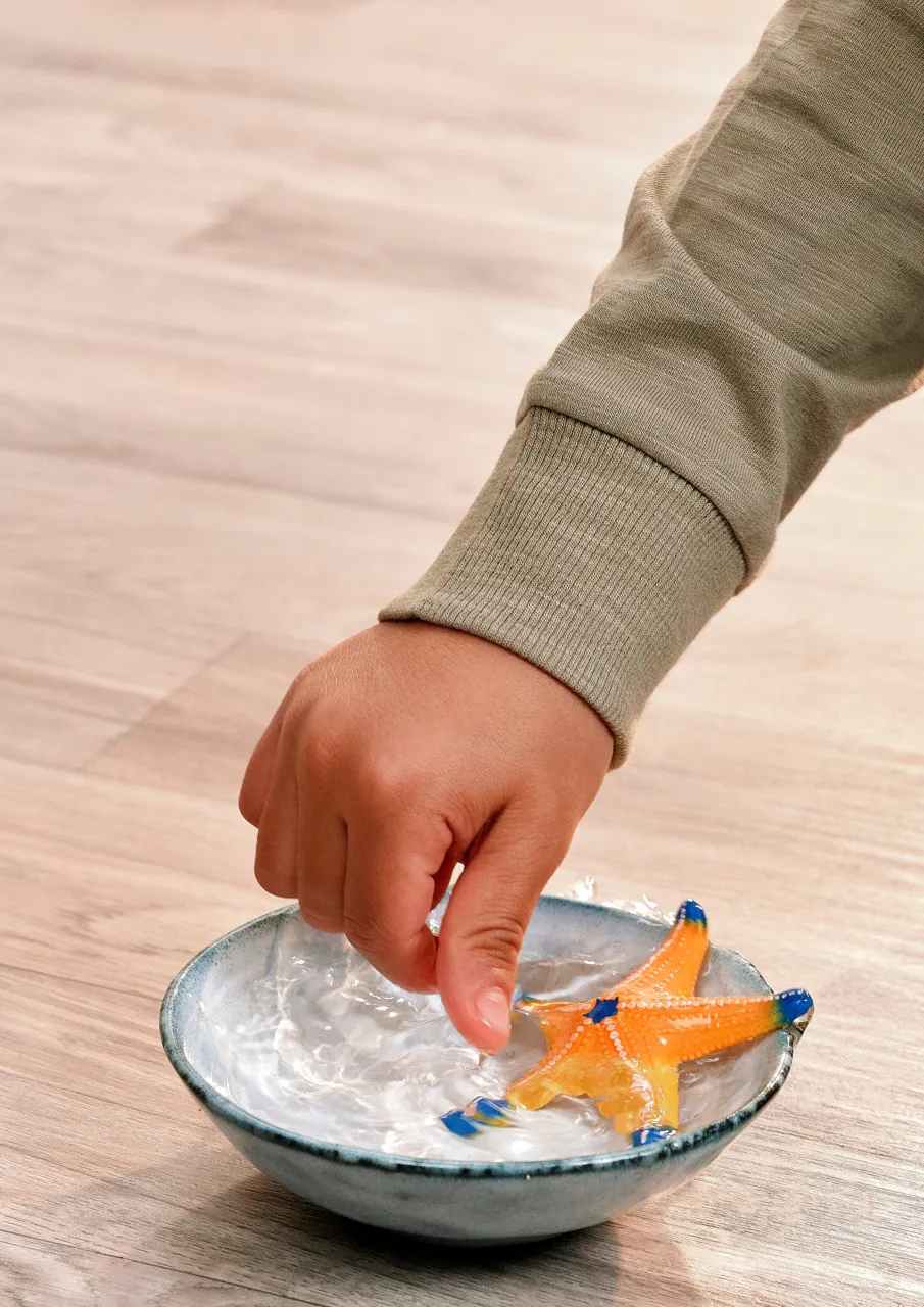 Colour Changing Starfish image