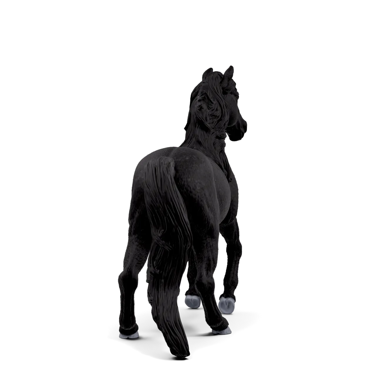 Lusitano Stallion image