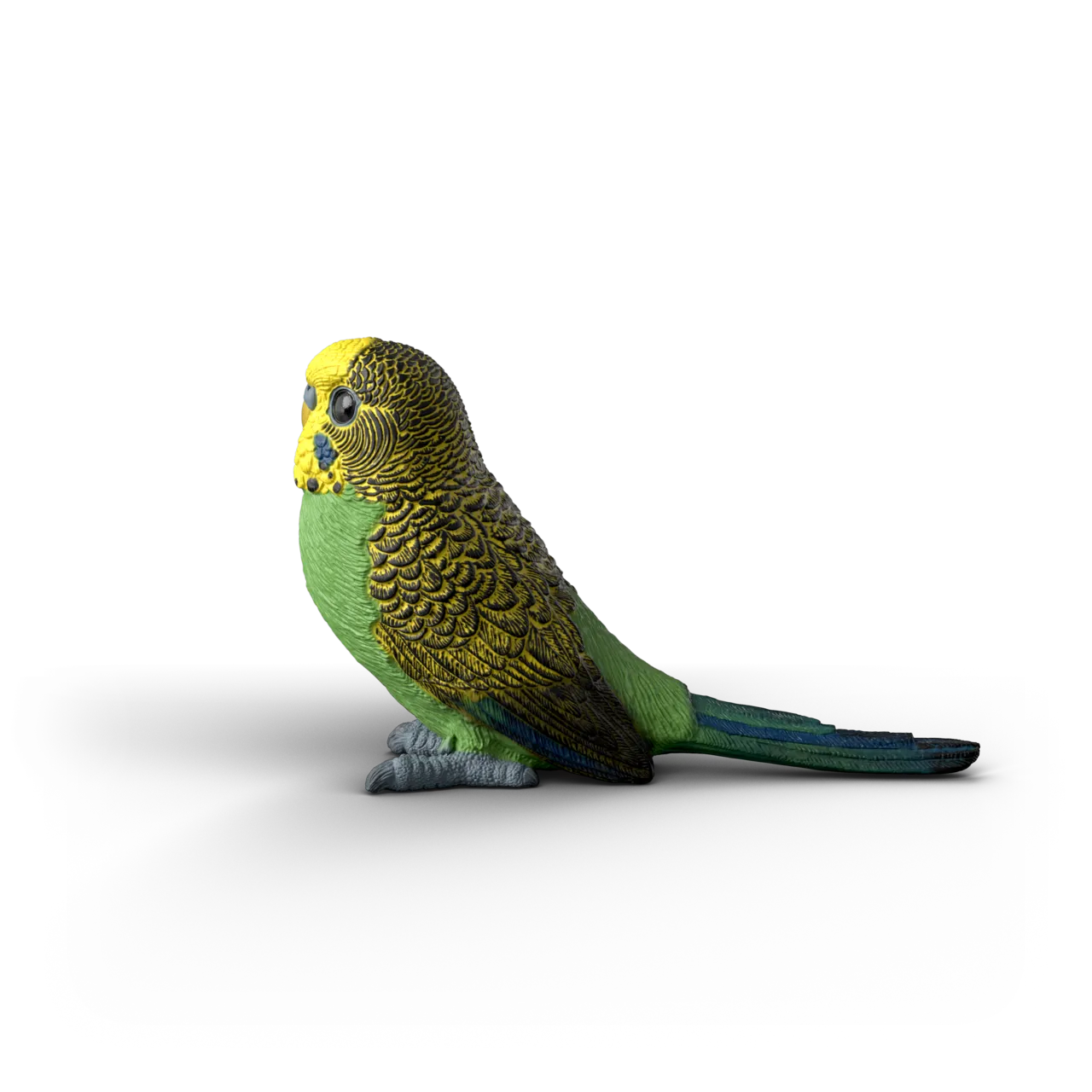 Budgie image