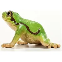European Tree Frog - 2025 image